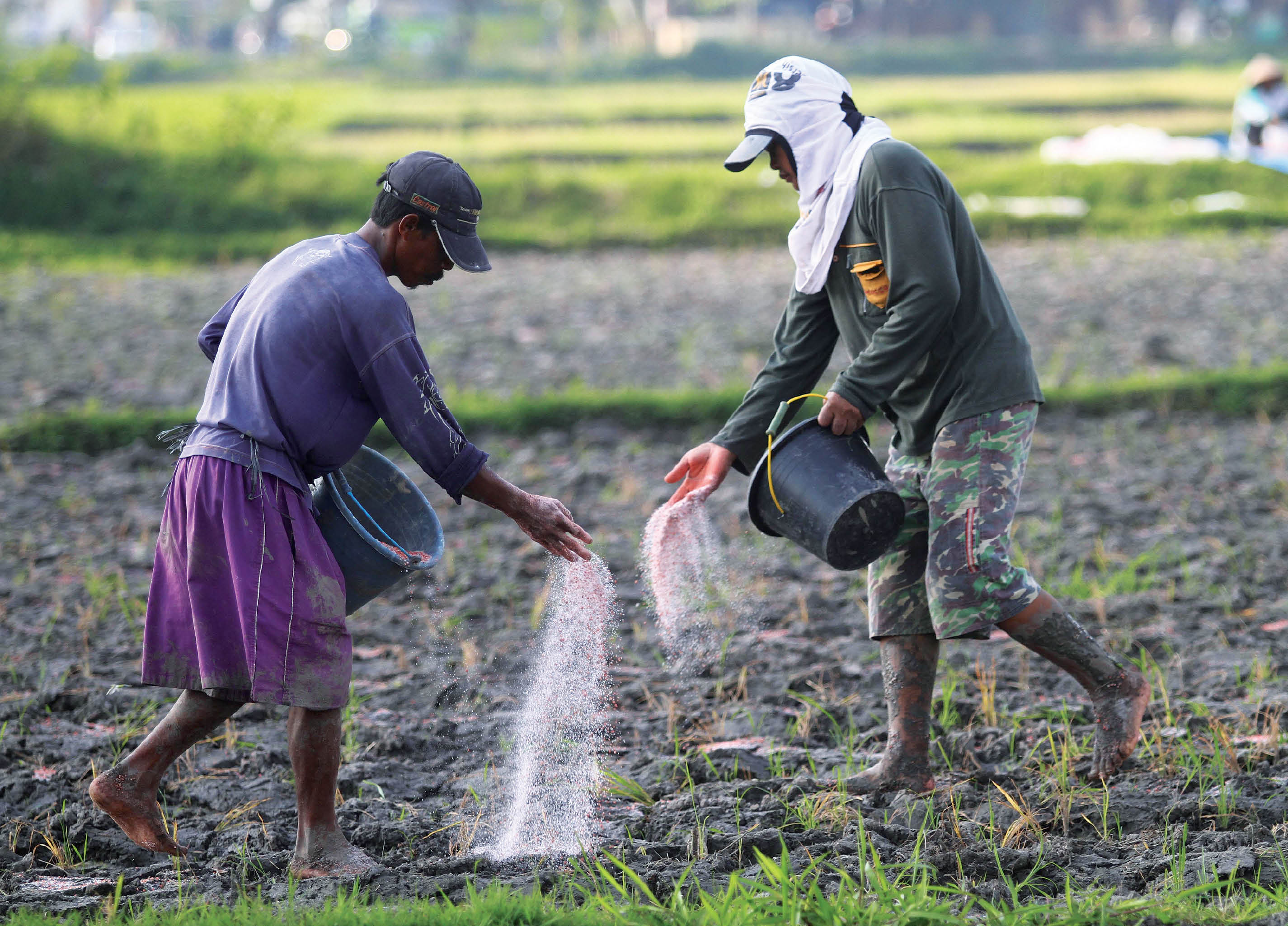 Perspectives on fertiliser usage